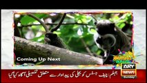 Amazing Dunya | ARYNews | 21 October 2018