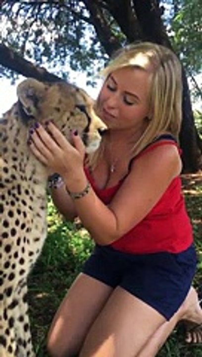 Girl cuddles with Cheetah she saved from hunters. - aww