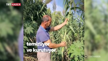 "Ney"in kamıştan sanata uzanan zorlu yolculuğu