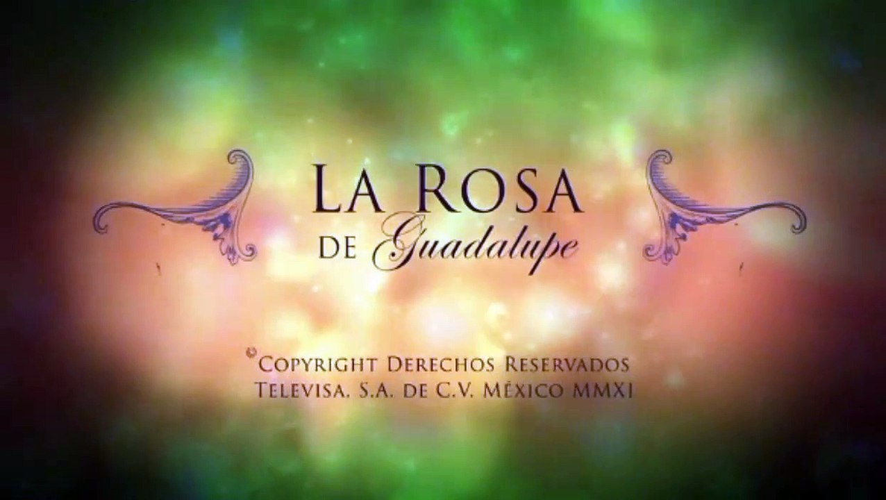 Rosa Falso amor