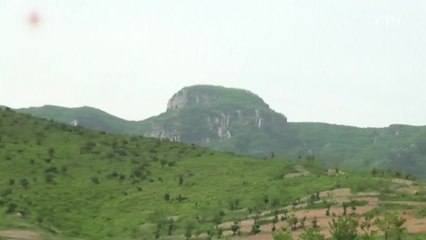 남북 산림협력 회의 내일 개성에서 개최 / YTN