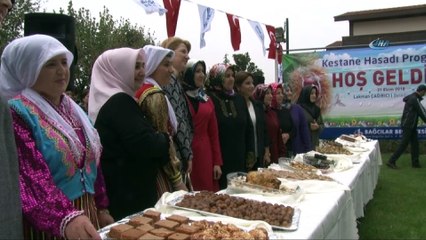 Bağcılar’da Kestane Şenliği renkli anlara sahne oldu