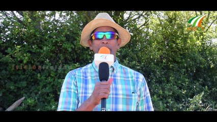 സ്ട്രോബെറി ഫാർമിൽനിന്നും കാഴ്ചകളുമായി Strawberry farm by Ivision Ireland