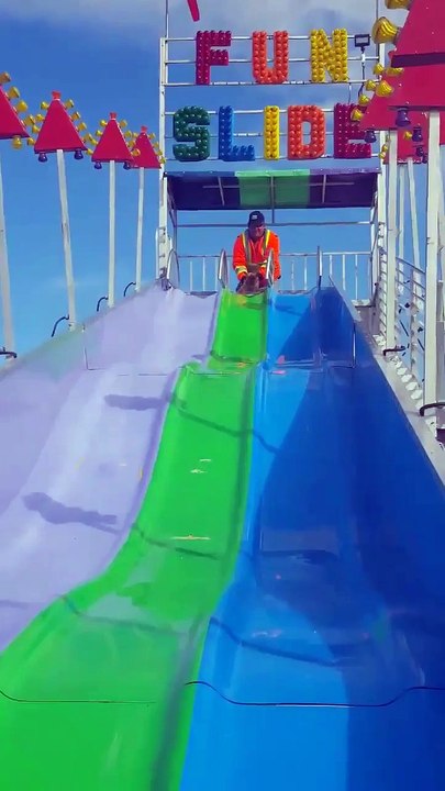 Hilarant : ce chien s'éclate en glissant sur ce toboggan géant