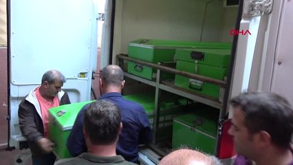 Adana'da Dehşet; 3 Çocuğunu Öldürdükten Sonra Bileklerini Kesti