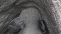 سيريلانكا: عملية إنقاذ فيل من الموت المحتم
