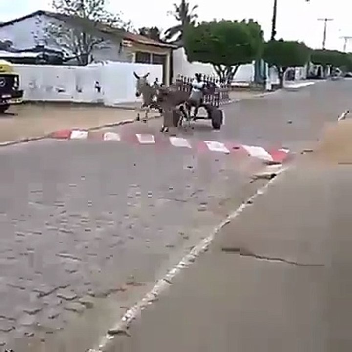 Hızlı ve öfkeli at arabası