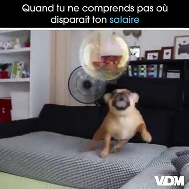 Bah... où est-il passé ?