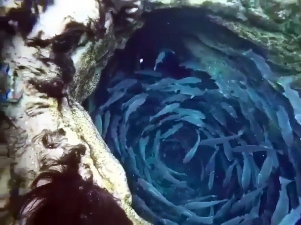 Into the abyss