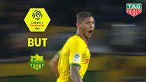 But Emiliano SALA (25ème) / FC Nantes - Toulouse FC - (4-0) - (FCN-TFC) / 2018-19
