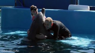 A cancer patient crosses off 'Swim with Dolphins' from her bucket list