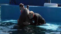 A cancer patient crosses off 'Swim with Dolphins' from her bucket list