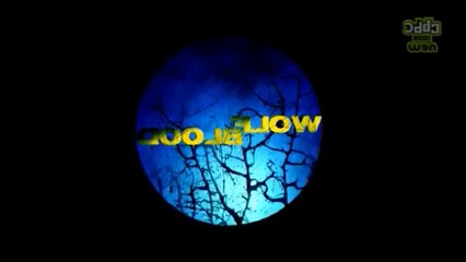 Wolfblood S02E11 - Best of Both Worlds