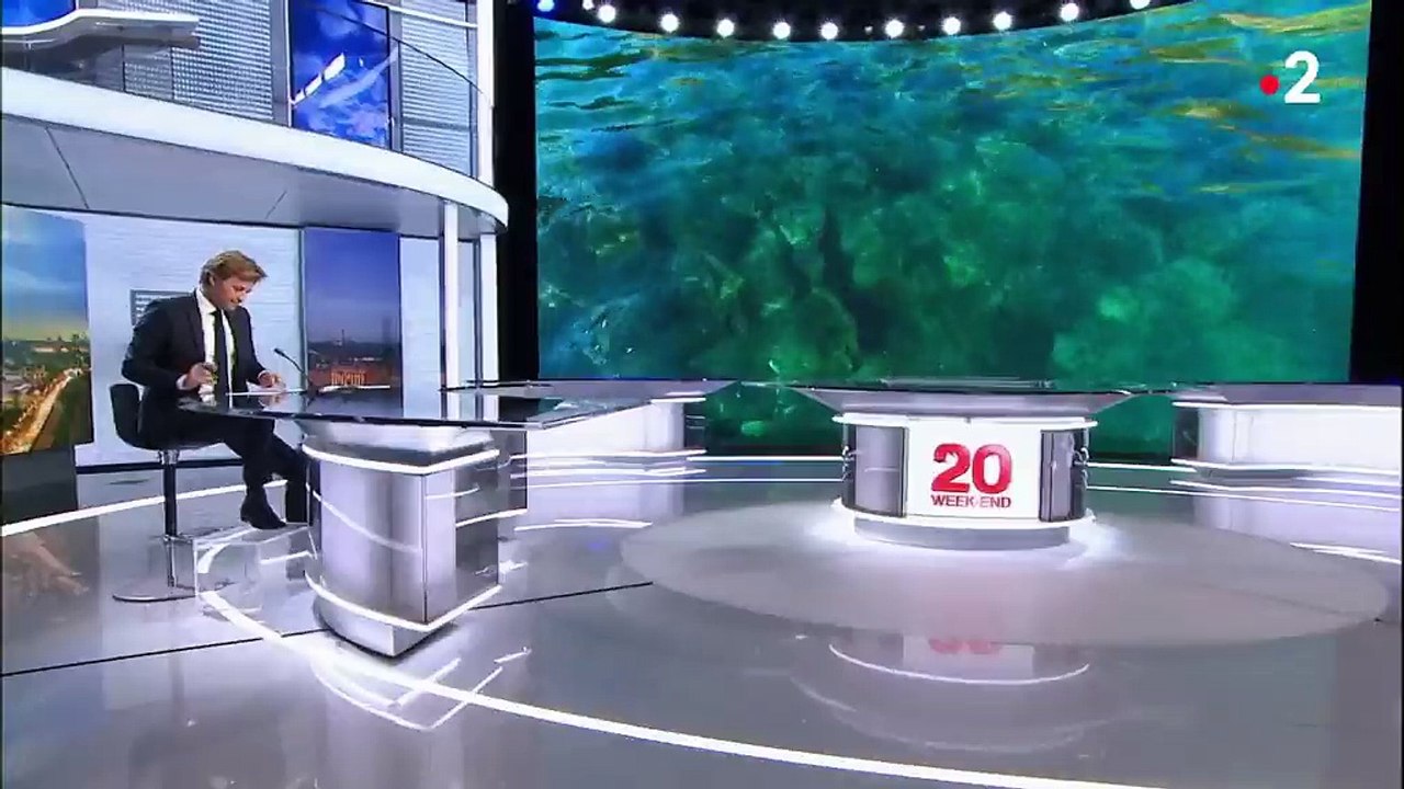 Collision de deux navires en Méditerranée : à Porquerolles, le nettoyage de la pollution au pétrole va prendre des mois