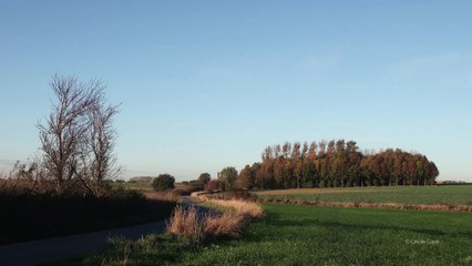 timelapse bois mi oct