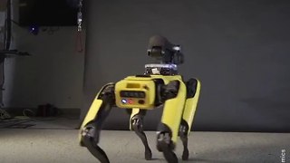Boston Dynamics' famous robot dog now has some super-sweet dance moves
