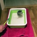 Hedgehog in hot tube with soap cleaning