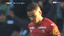 Ex-Newcastle player Ben Arfa close to a memorable equaliser