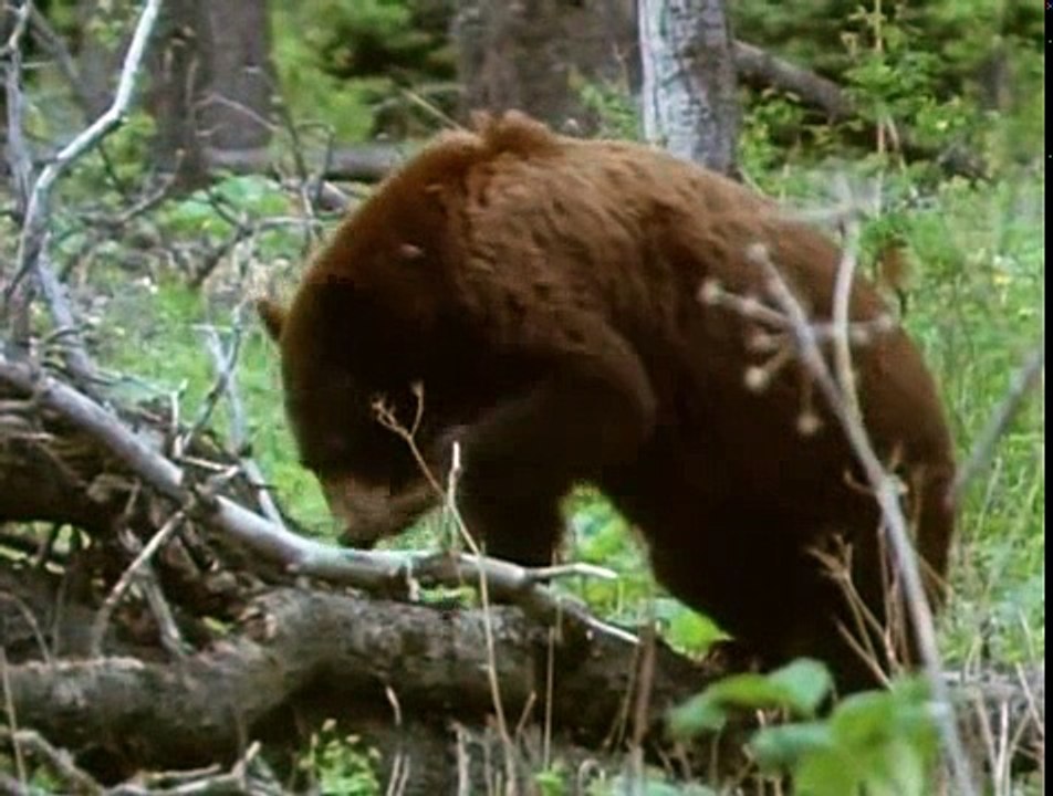 Land Of The Eagle  S01 E05