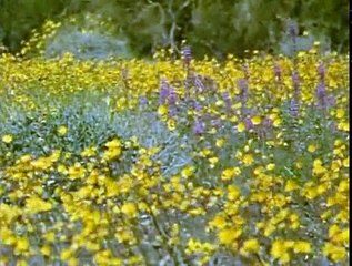 Land Of The Eagle  S01 E06