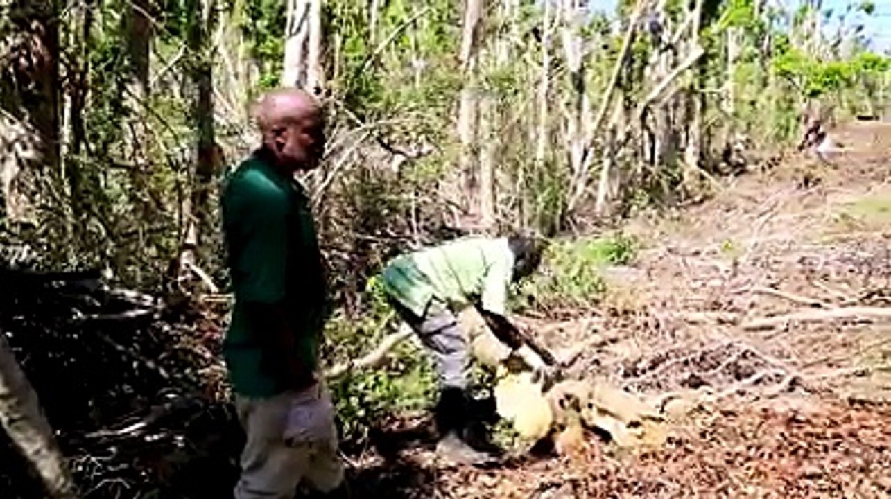 Here's our first video production showcasing the state of our tourism attractions Post Maria. View the fascinating footage while listening to our interview with