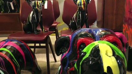 Greet The Wonderful Day [World Premiere Video] Missing Link Us CD "Dave, That's Not My Toe!"