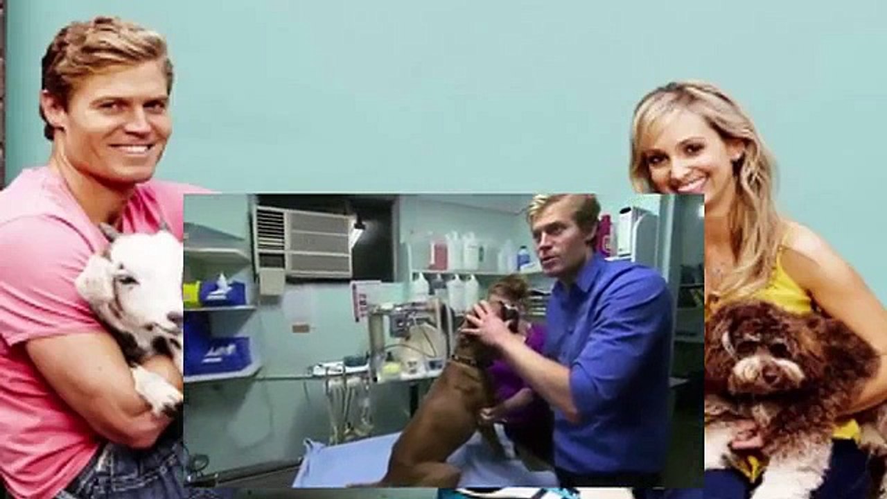 Bondi Vet S06 E23