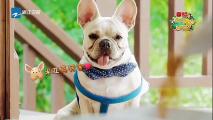 米亚冬冬工作方式分歧大 为缓和矛盾冬冬买饮料犒劳米亚《神奇伙伴在哪里》EP7 20181021 精彩花絮[浙江卫视官方HD]