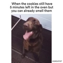 When the cookies still have 5 minutes left in the oven but you can already smell them