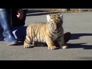 My Video10