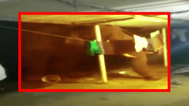 Elephant enters house in Coimbatore, eats rice and fertilisers kept in bags, | OneIndia News