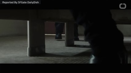 How The ‘Halloween’ Director Pulled Off The Film's Murder Scenes