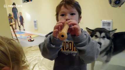 Singing dog loves joining in on kids' music class