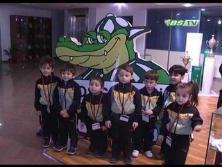 31 01 17 kelebek etkisi