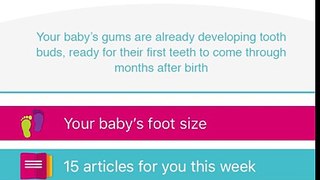 Pregnancy & Baby App - Bounty App Download