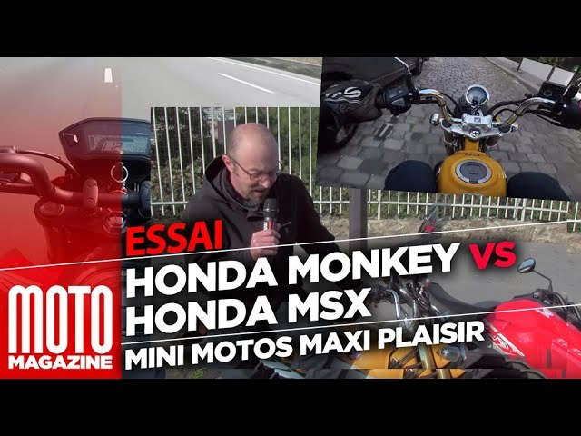 Honda Monkey VS Honda MSX - mini motos, maxi...