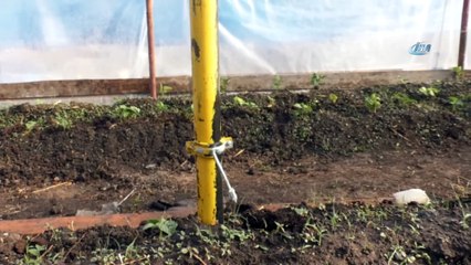 Meyve sebze fiyatına tepki gösterip sera yaptı