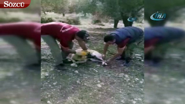 Ağzını ve ayaklarını bağlayarak ölüme terk ettiler