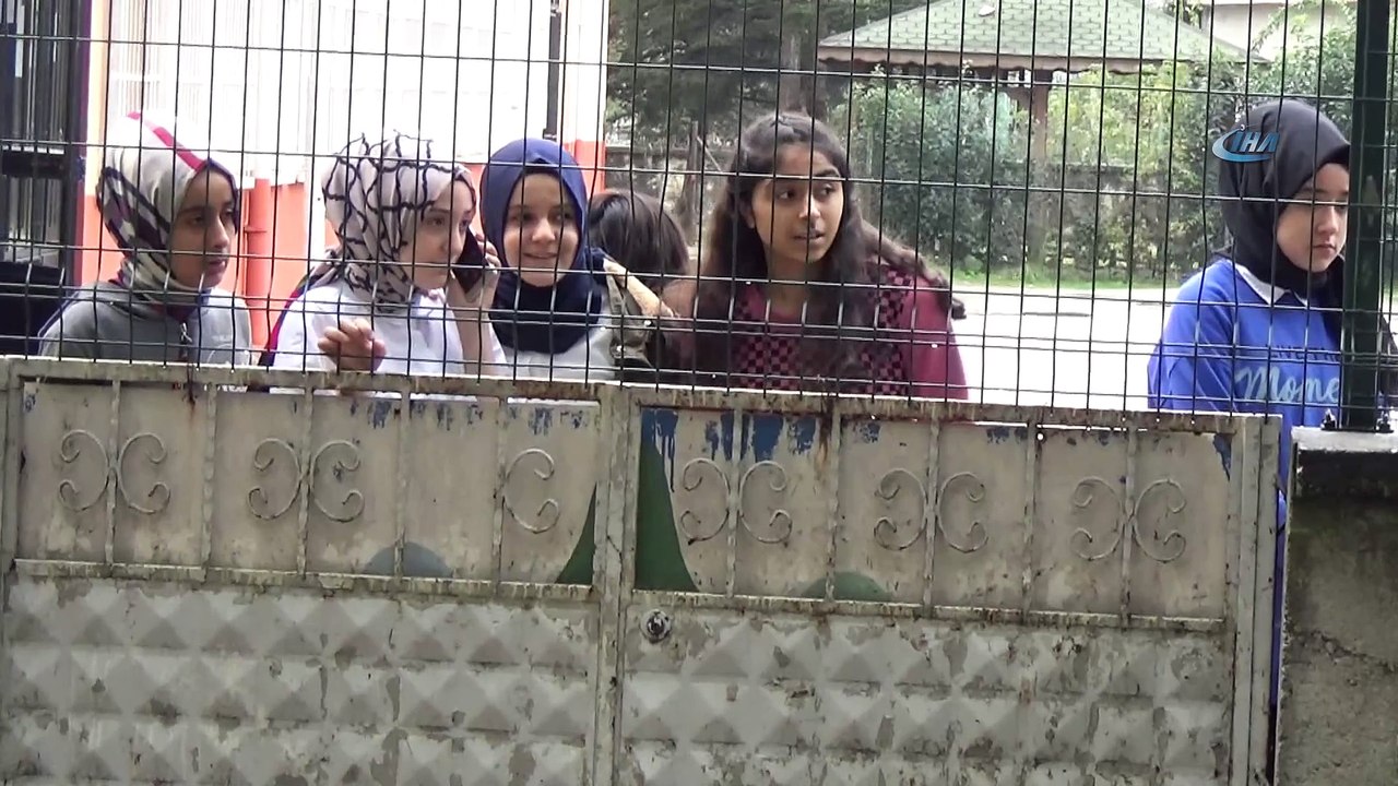 Çocukların gözü önünde vahşet...Çocuk parkına terk edilen at çırpınarak can verdi