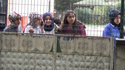 Çocukların gözü önünde vahşet...Çocuk parkına terk edilen at çırpınarak can verdi