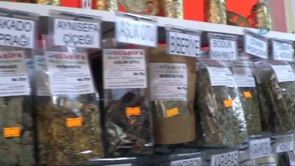 Hava civa otu hem renk hem sağlık veriyor