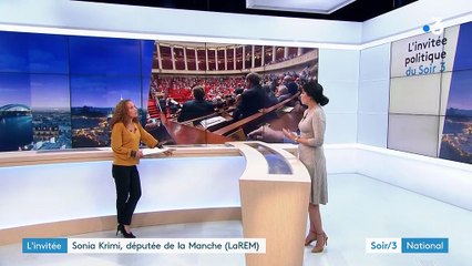 Les députés LREM "ni frondeurs ni godillots", se félicite Sonia Krimi