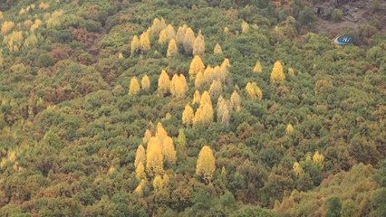 Tunceli'de Sonbahar Kartpostallık Görüntüleri Beraberinde Getirdi