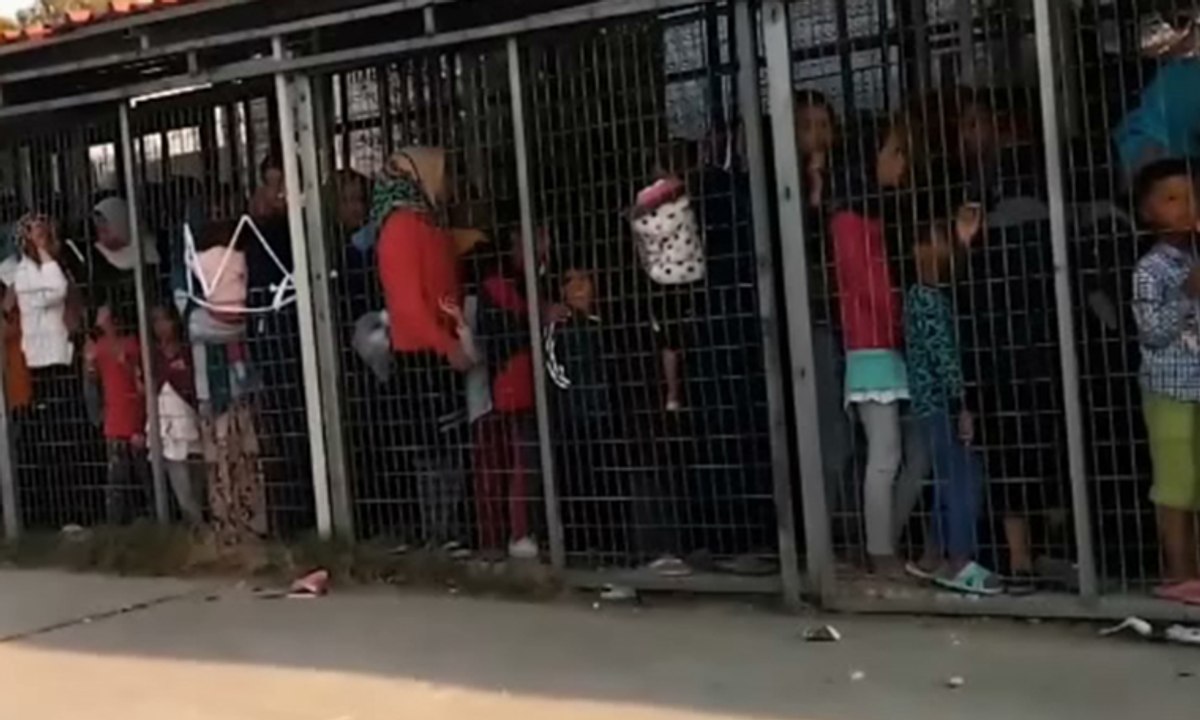 Komşuda insanlık ayıbı: Kafese tıktılar