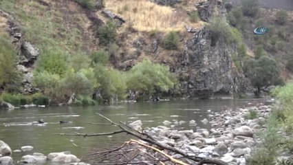 Ormanlara Zarar Vermemek İçin Habur Çayı Kenarında Odun Topluyorlar