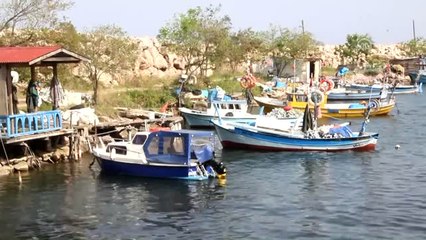 Doğu Karadenizli Balıkçılar Hamsiden Umutlu Değil