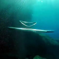 Suyun altında 2 hava halkasının dansı