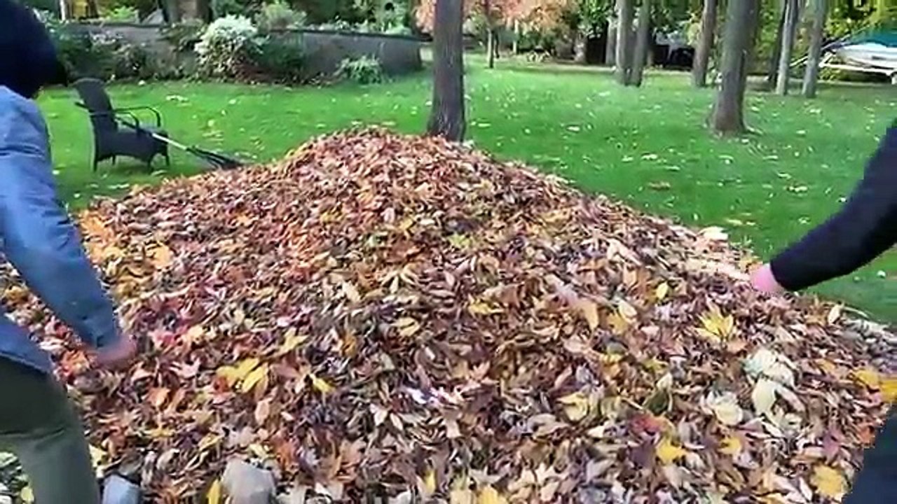 Brûler un tas de feuille avec de l'essence