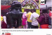 WARNING! MASSIVE SATANIC ANIMAL SACRIFICE RITUAL HAPPENING FOR DEMONS SHIVA AND KALI!