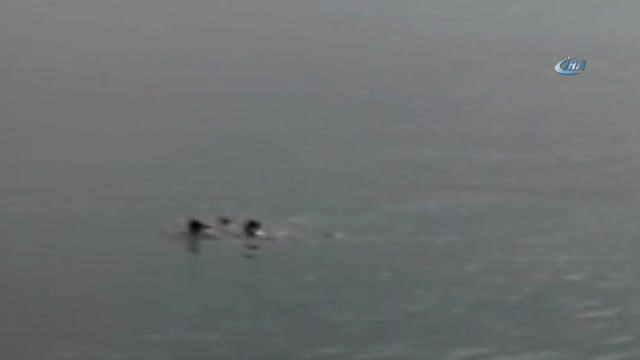 Avcılar'da Denizde Can Pazarı... Denize Atlayan 15 Yaşındaki Genci Kurtarmak İçin Polis ve Vatandaş...